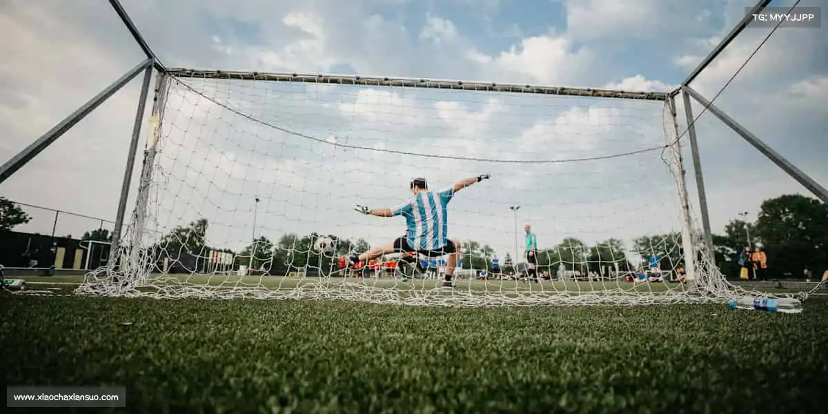 <strong>BBIN宝盈集团官网首页</strong>🎾挥动球拍，击出人生的精彩弧线！